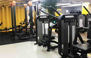 襄阳健身器材价格解析 舒扬文体用品公司为你提供高性价比选择