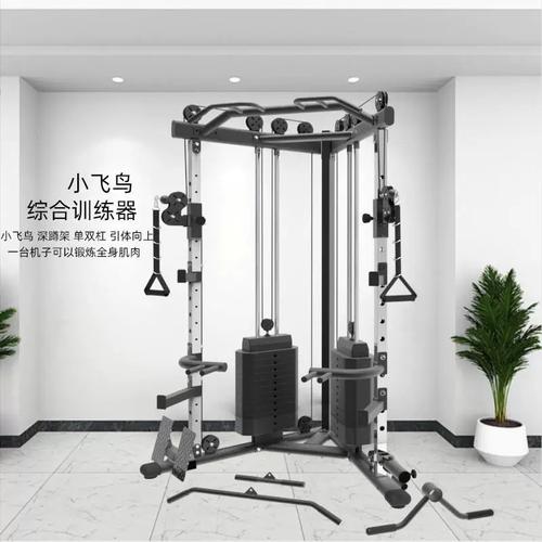 小飞鸟龙门架健身器源头工厂多功能综合训练器健身器材家用卧推架